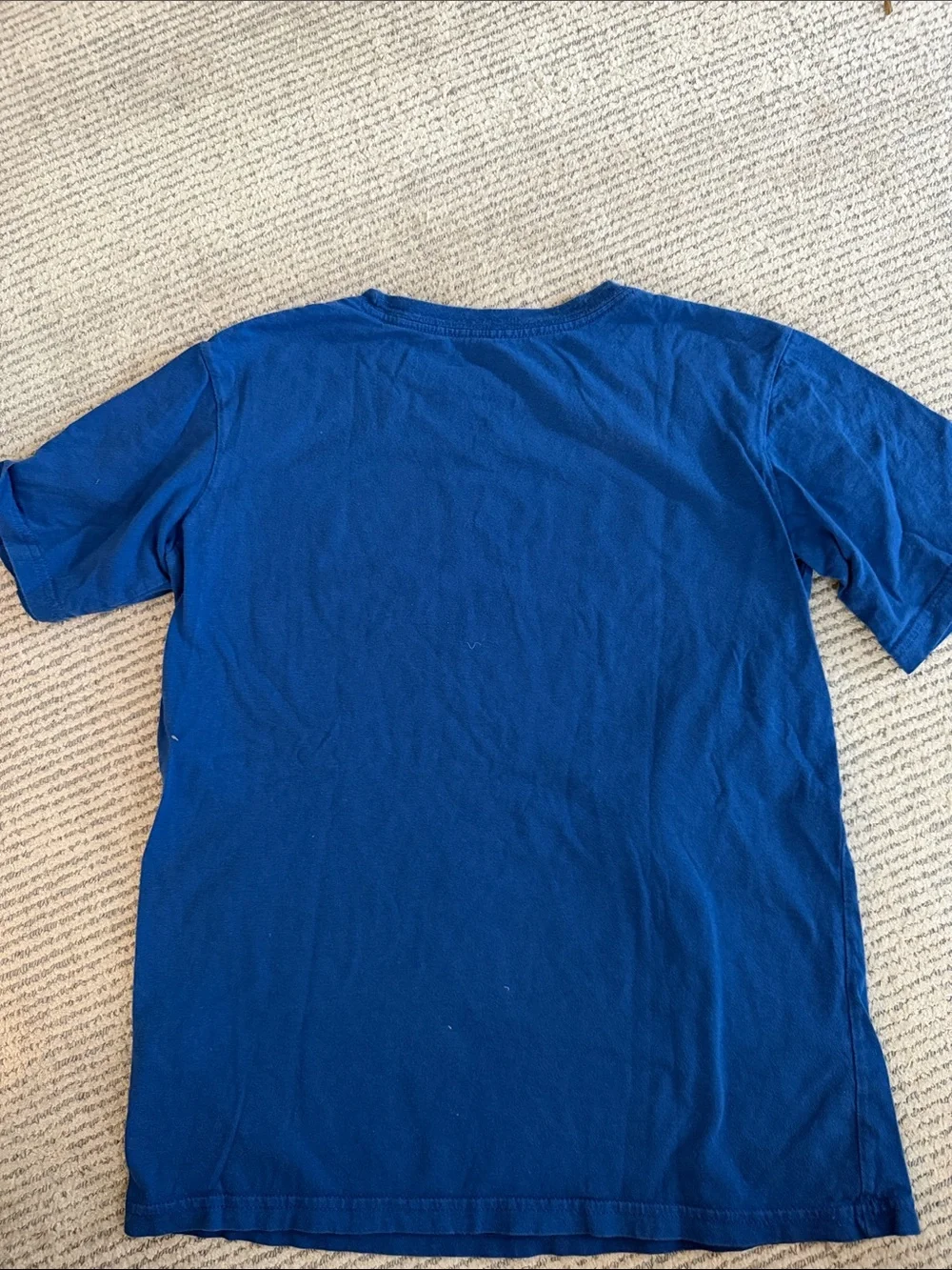 Patagonia classic short
